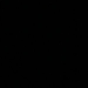 Meet your Posher, Sam!